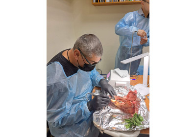 Цікаві аспекти в роботі у бічному відділу нижньої щелепи. Альтернатива кістковій пластиці.